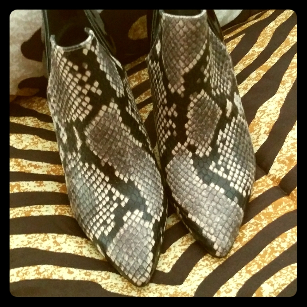 Enzo Angiolini